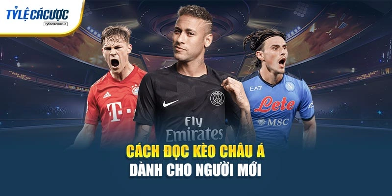 Cách đọc kèo châu Á dành cho người mới