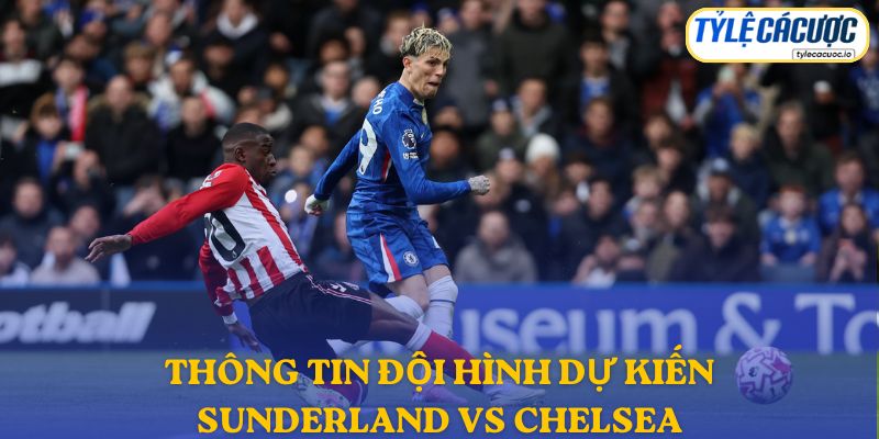 Thông tin lực lượng Sunderland vs Chelsea