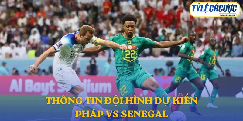 Thông tin đội hình dự kiến Pháp vs Senegal