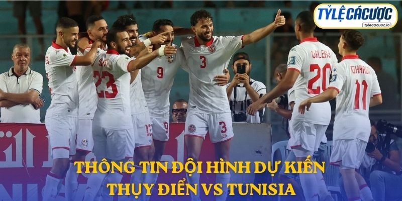 Thông tin đội hình dự kiến Thụy Điển vs Tunisia