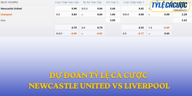 Soi kèo nhà cái Newcastle vs Liverpool – dự đoán từ chuyên gia