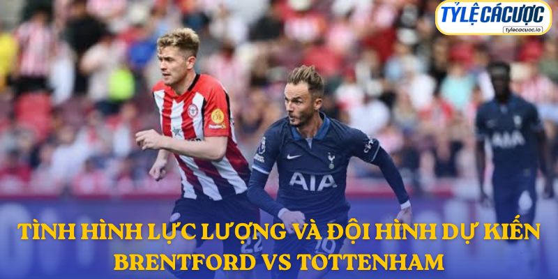 Thông tin đội hình dự kiến Brentford vs Tottenham