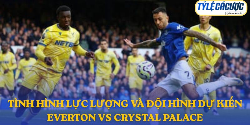 Thông tin đội hình dự kiến Everton vs Crystal Palace