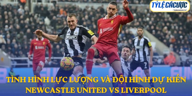 Thông tin đội hình dự kiến Newcastle vs Liverpool